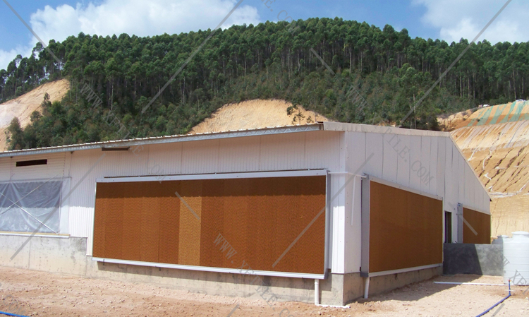 還在為廠房的墻體煩惱嗎？使用星發優質墻體廠房塑料瓦